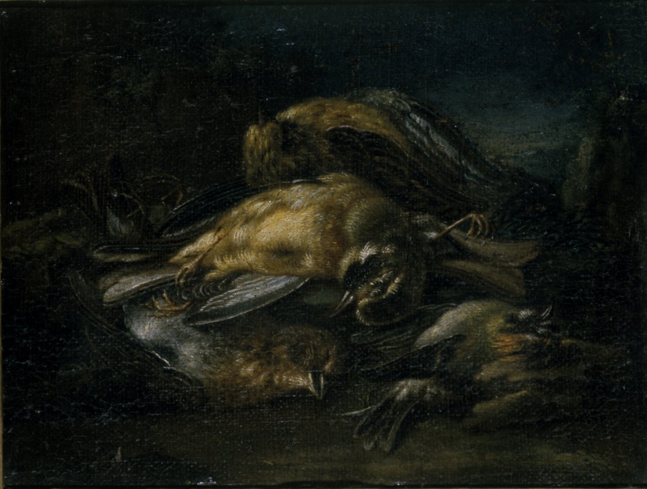 Død fugl, 1664 av Giovanni Benedetto Castiglione