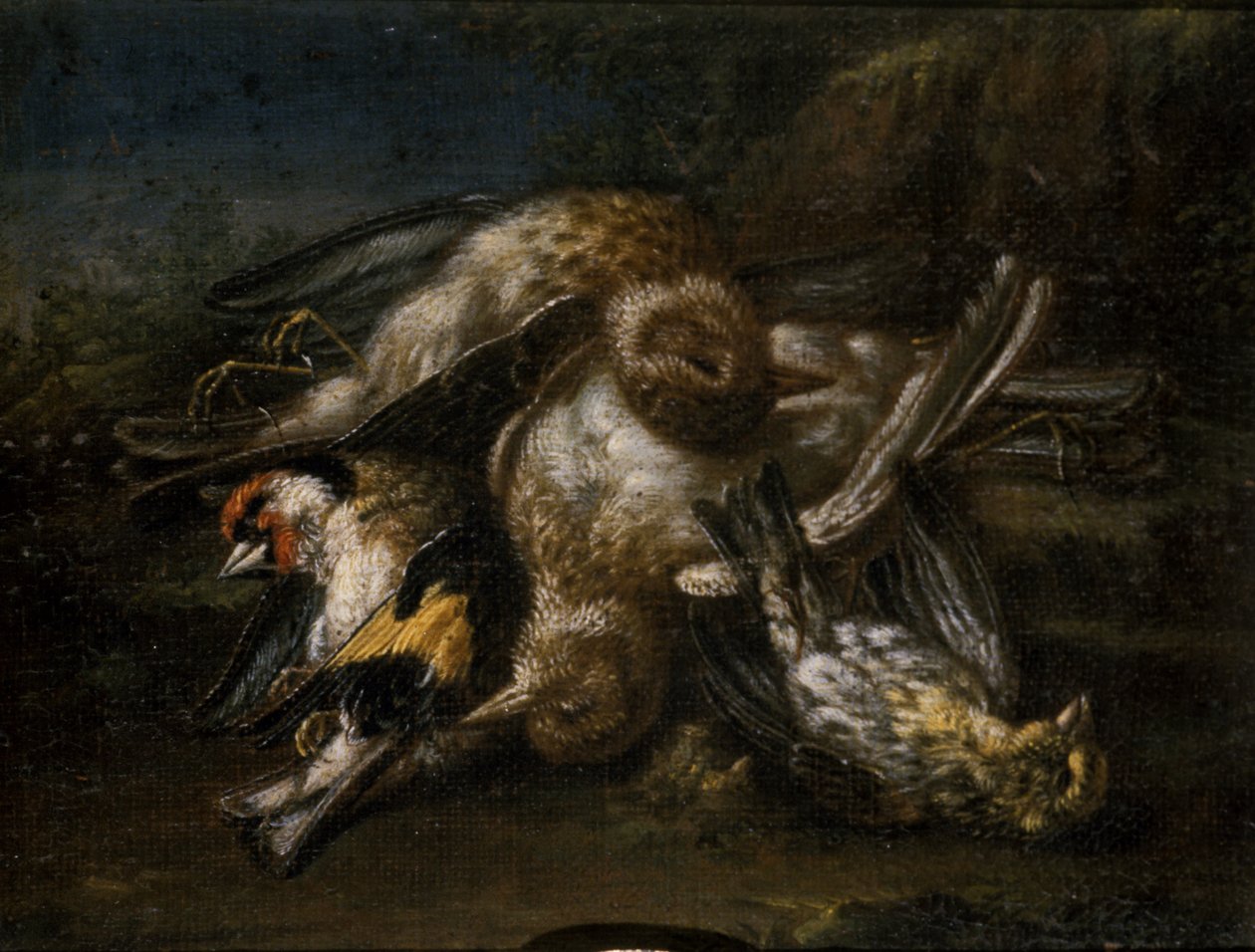 Dead Birds (olje på lindeved) av Giovanni Benedetto Castiglione