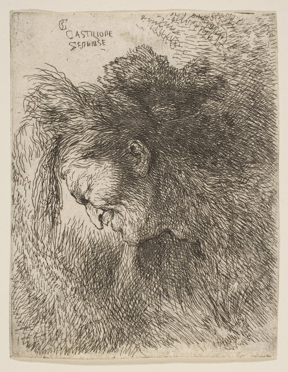 Hodet til en gammel mann som ser ned, vendt mot venstre, fra serien med små hoder i ..., ca. 1645-1650. av Giovanni Benedetto Castiglione