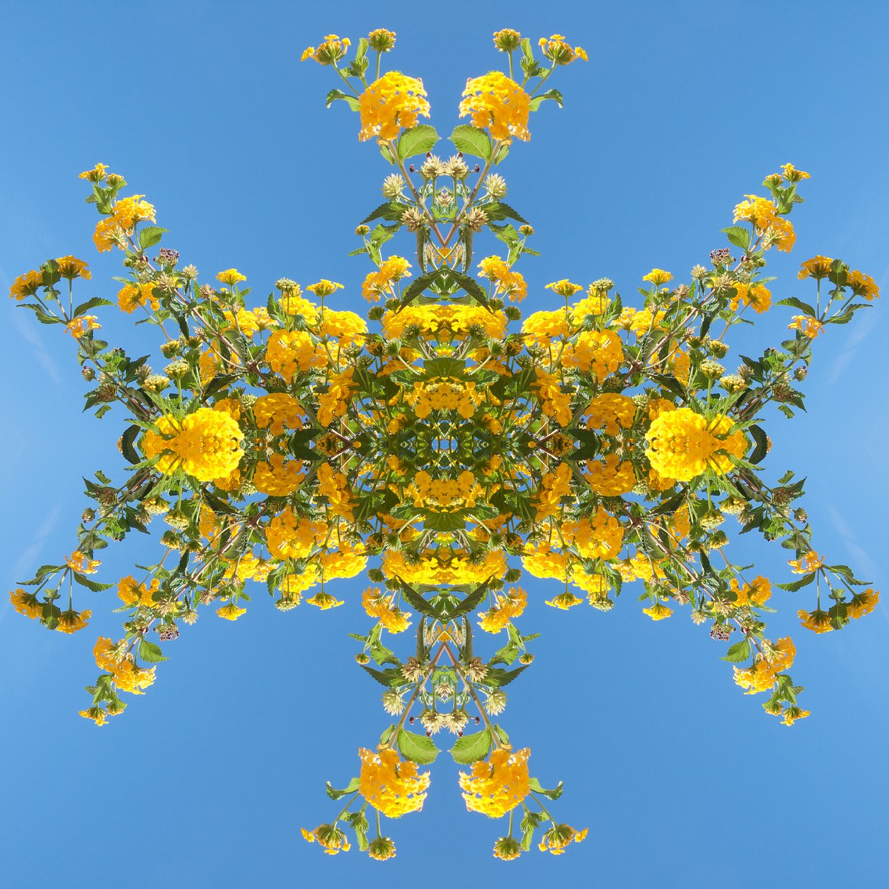 Unaturlig 193 (digitalt manipulert bilde) av Giovanni Cafagna