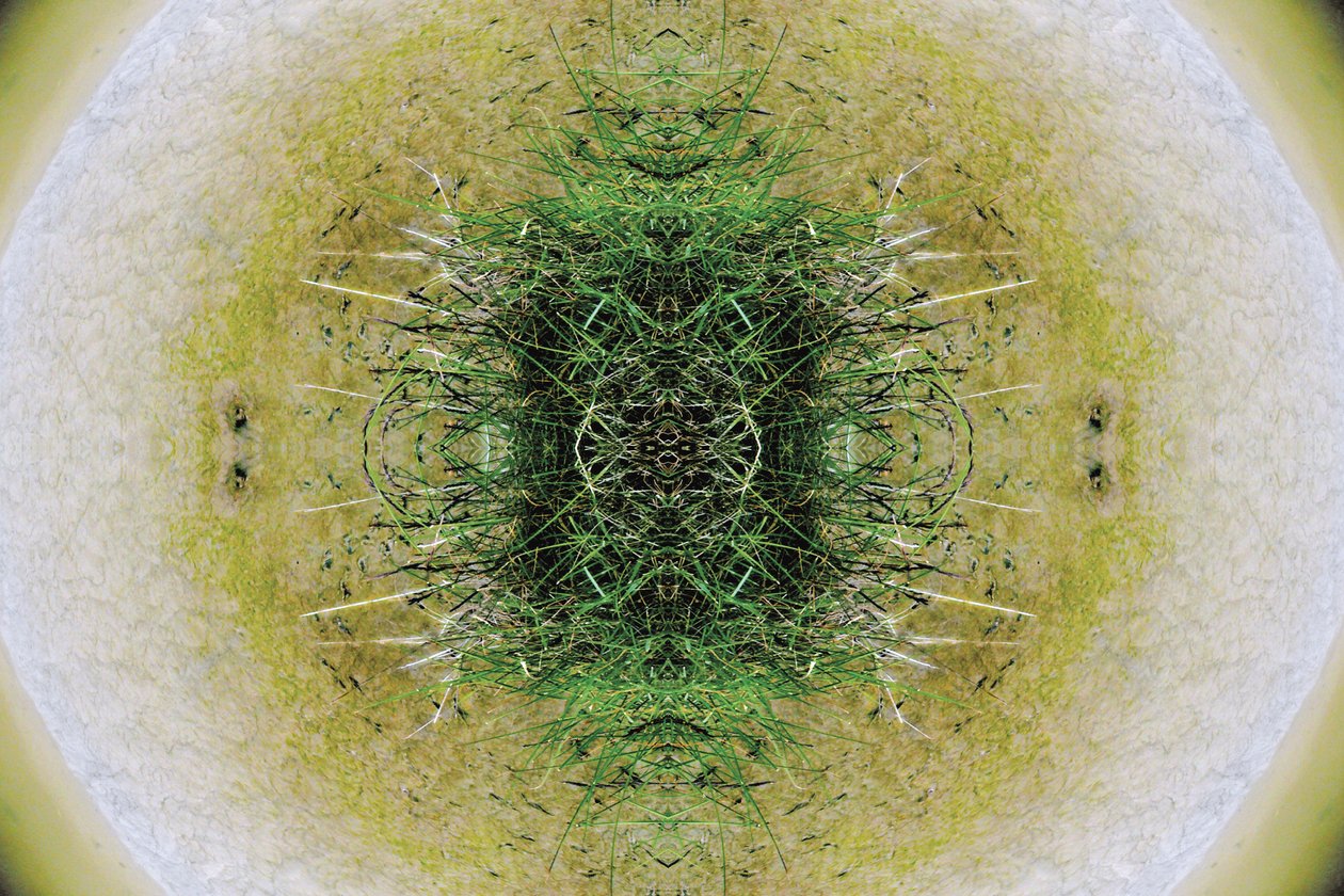 Unaturlig 6.1 (digitalt manipulert bilde) av Giovanni Cafagna