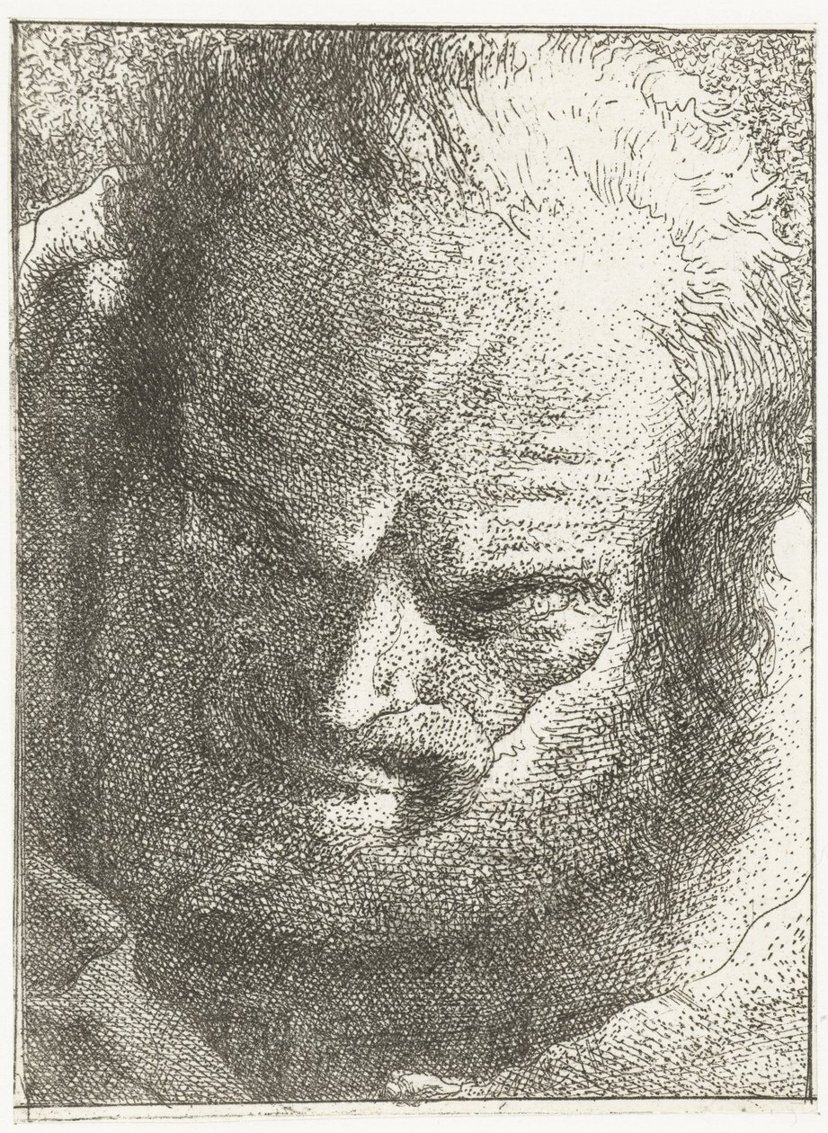 Mann ser ned Samling av hoder (serietittel) Raccolta di Teste (serietittel) av Giovanni Domenico Tiepolo