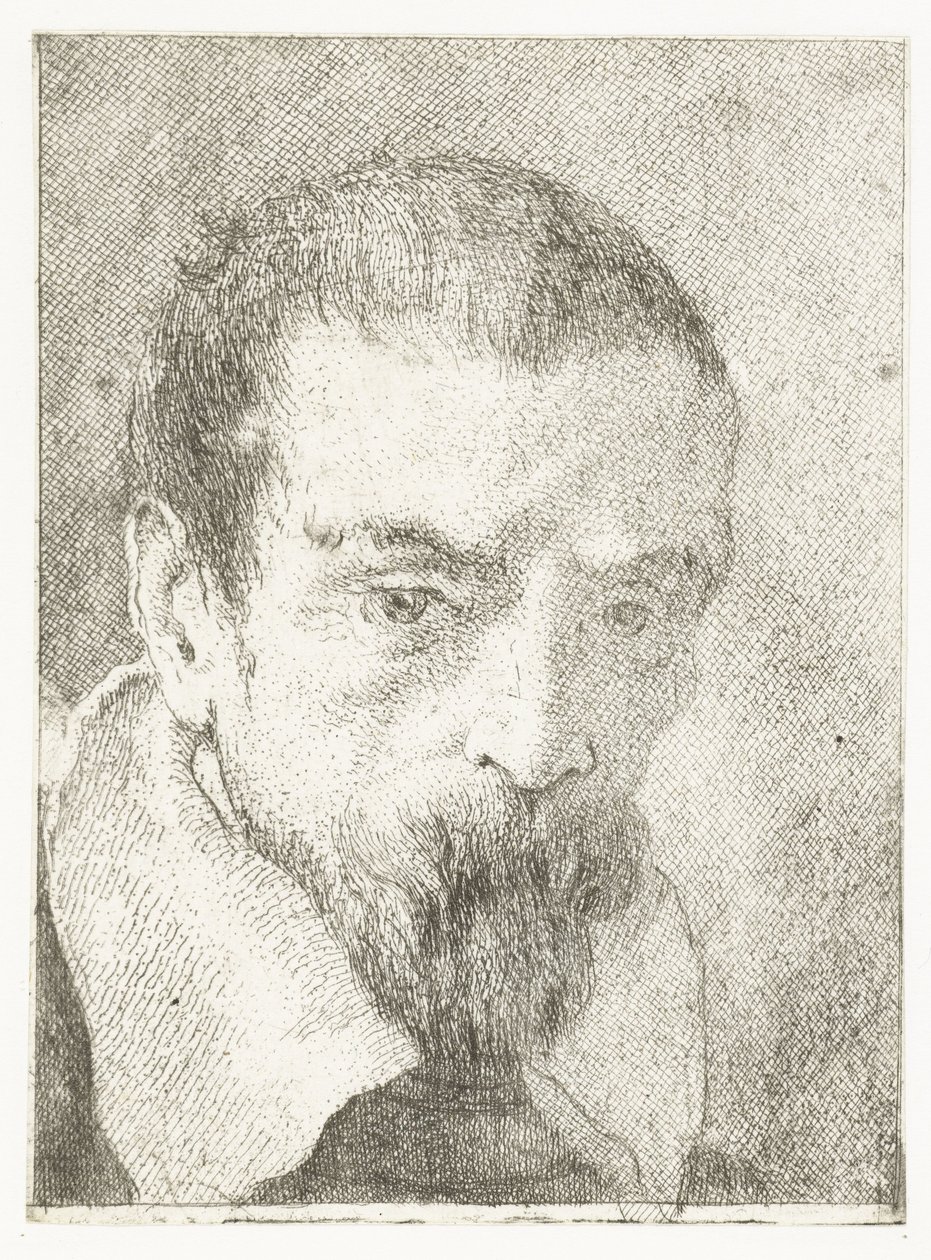 Mann med lite skjegg uten hodeplagg Samling av hoder (serietittel) Raccolta di Teste (serietittel) av Giovanni Domenico Tiepolo