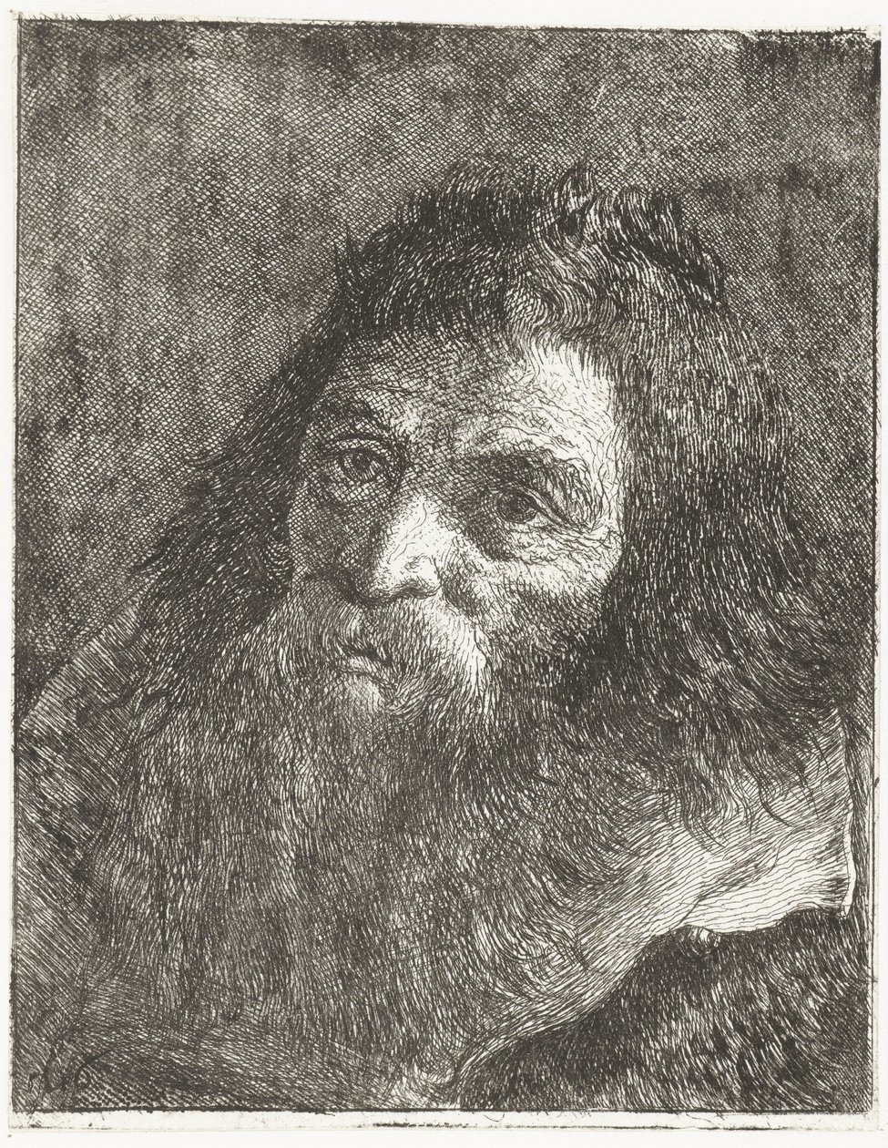 Mann med langt hår og skjegg av Giovanni Domenico Tiepolo