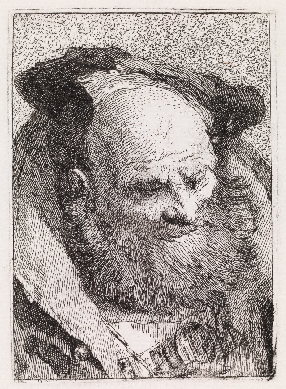 Gammel mann med skjegg av Giovanni Domenico Tiepolo