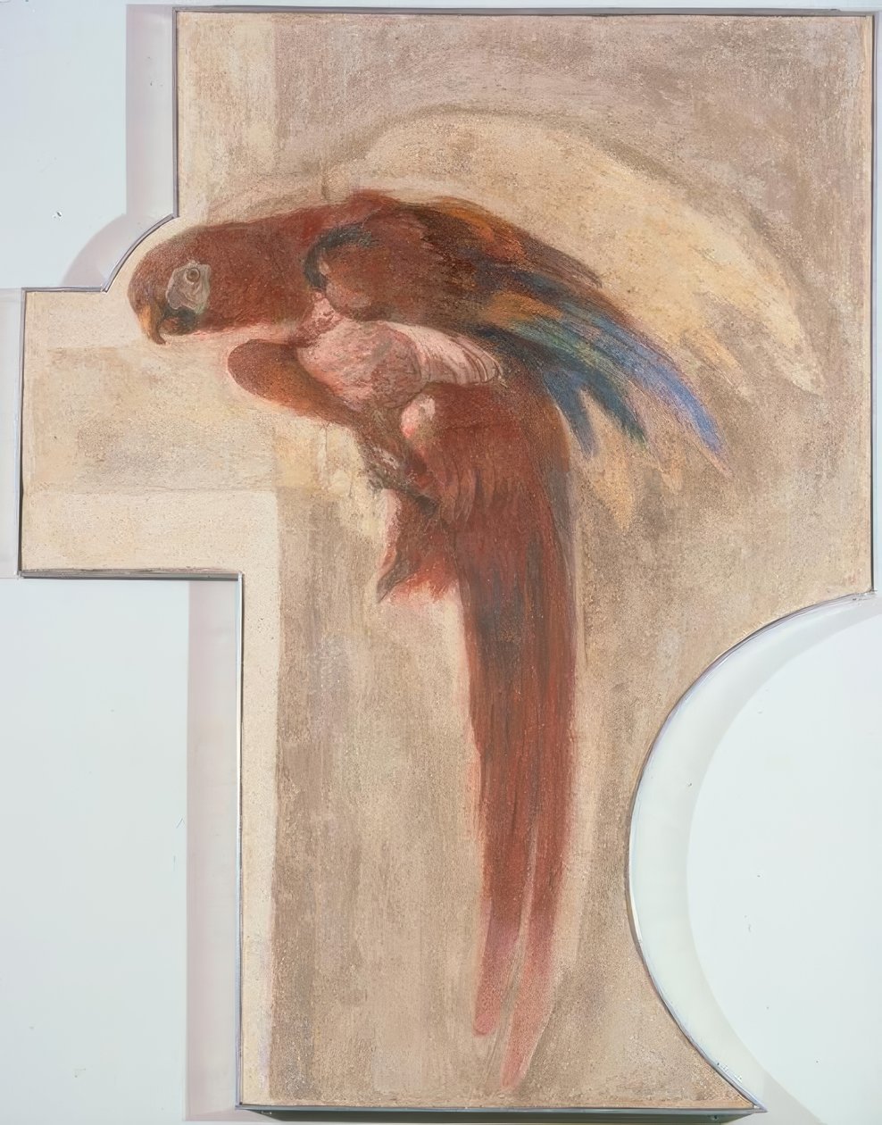 papegøye av Giovanni Domenico Tiepolo