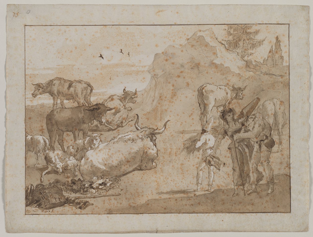 Sauer og kyr av Giovanni Domenico Tiepolo
