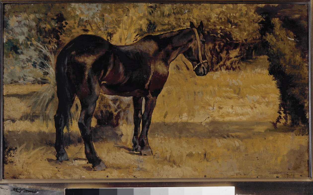 Dark horse (olje på lerret av Giovanni Fattori