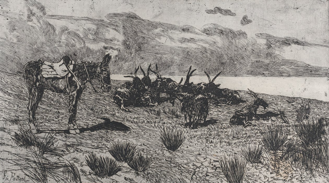 Esel og geiter på en strand om vinteren, 1884-1908. av Giovanni Fattori