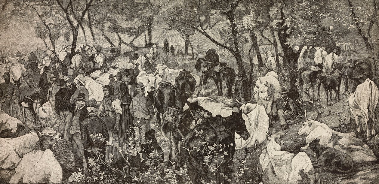 Marked i toskanske Apenninene, gravering fra et maleri av Giovanni Fattori (1825-1908), fra L