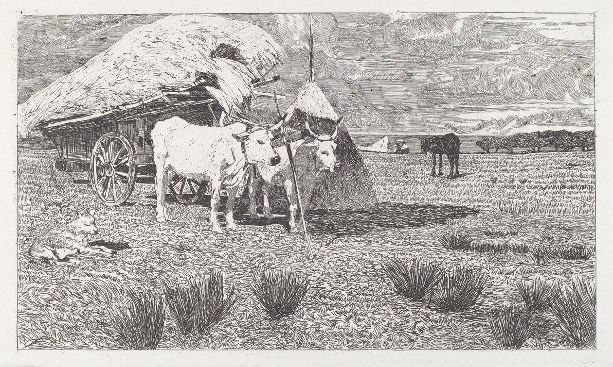 Okser spent for en kjerre (Maremma) av Giovanni Fattori