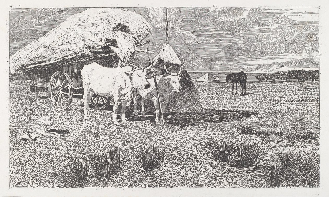 Okser i åk til vognen (Maremma) av Giovanni Fattori