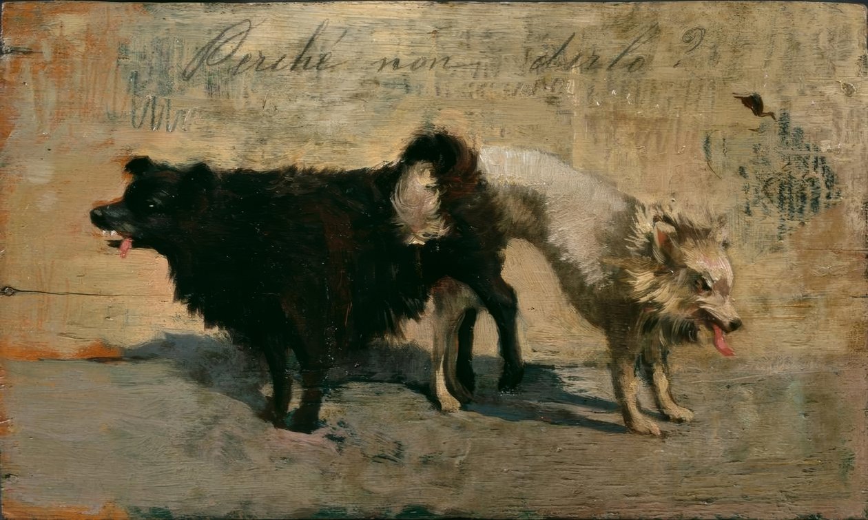 Hvorfor ikke si det? av Giovanni Fattori
