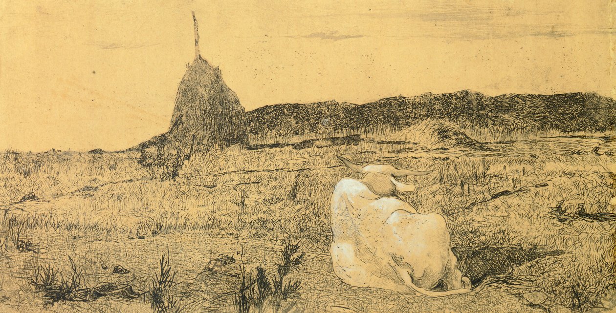 Pio Bove (from eller fredelig okse) av Giovanni Fattori (1825-1908), etsning av Giovanni Fattori