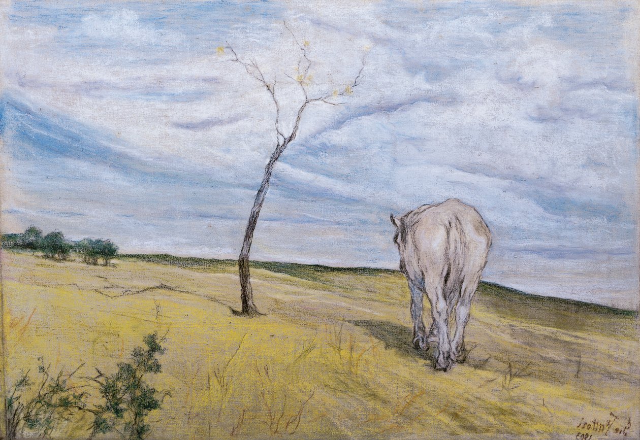 White Horse, av Giovanni Fattori (1825-1908) av Giovanni Fattori