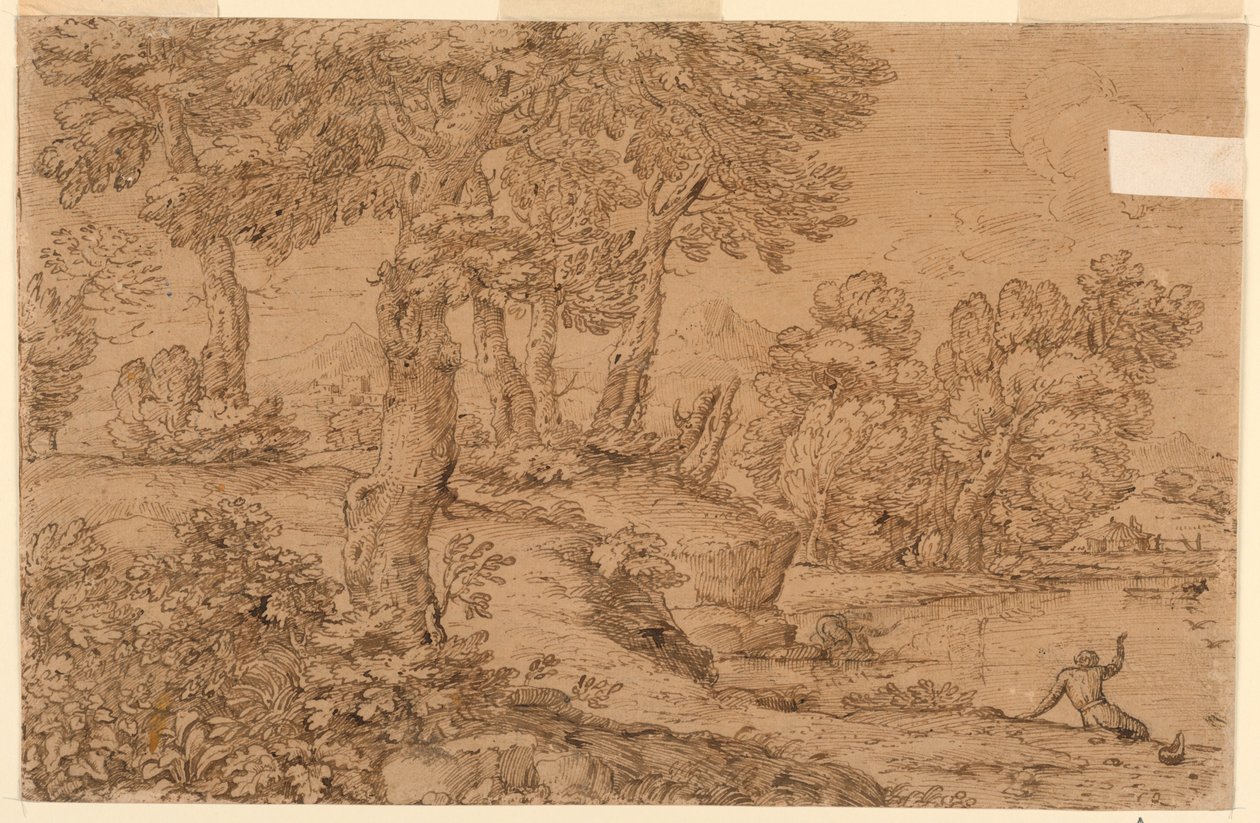 Skoglandskap med en dam av Giovanni Francesco Grimaldi