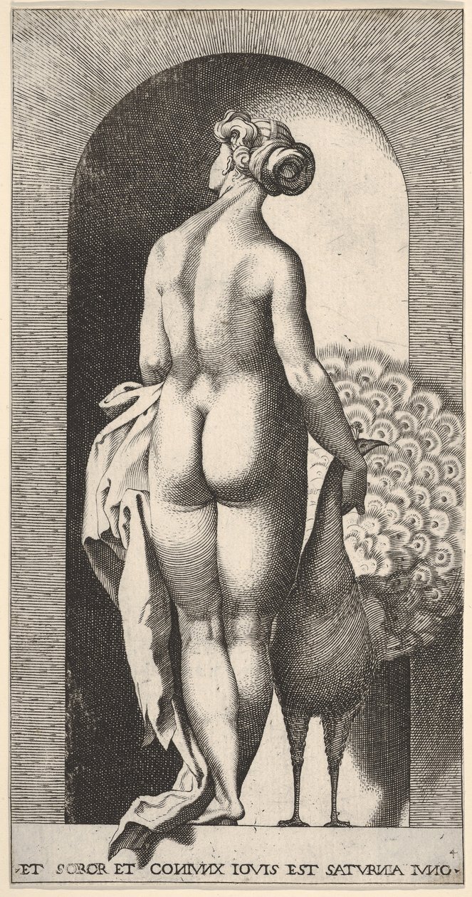 Plate 4: Juno står i en nisje, sett bakfra, og stryker en påfugl til høyre for henne, fr..., 1526. av Giovanni Jacopo Caraglio
