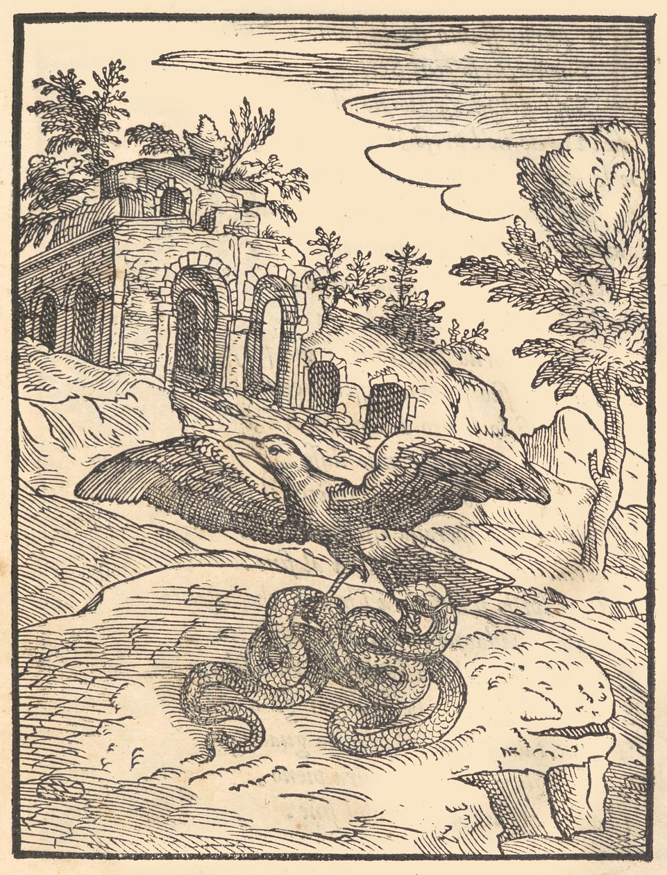 Fugl og slange, 1570. av Giovanni Maria Verdizotti
