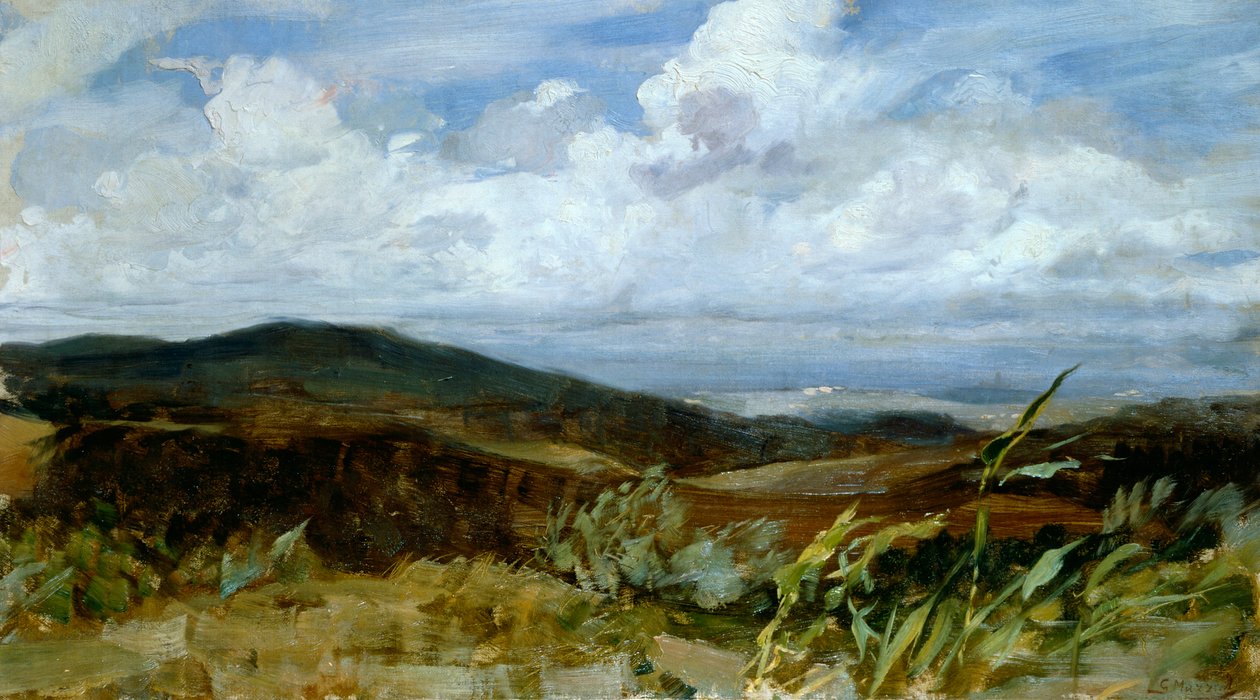 Landskap av Giovanni Muzzioli (1854-1894), olje på lerret, 39x68 cm av Giovanni Muzzioli