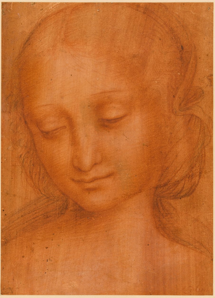 Hodet til en kvinne av Giovanni Pietro Rizzoli Giampietrino
