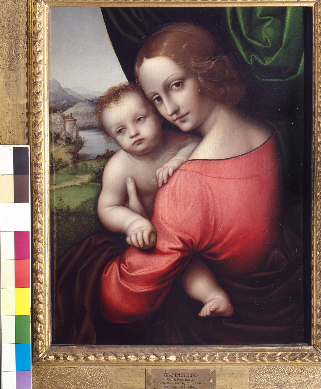 Madonna and Child (Our Lady of the Apple), ca. 1525 (olje på panel) av Giovanni Pietro Rizzoli Giampietrino