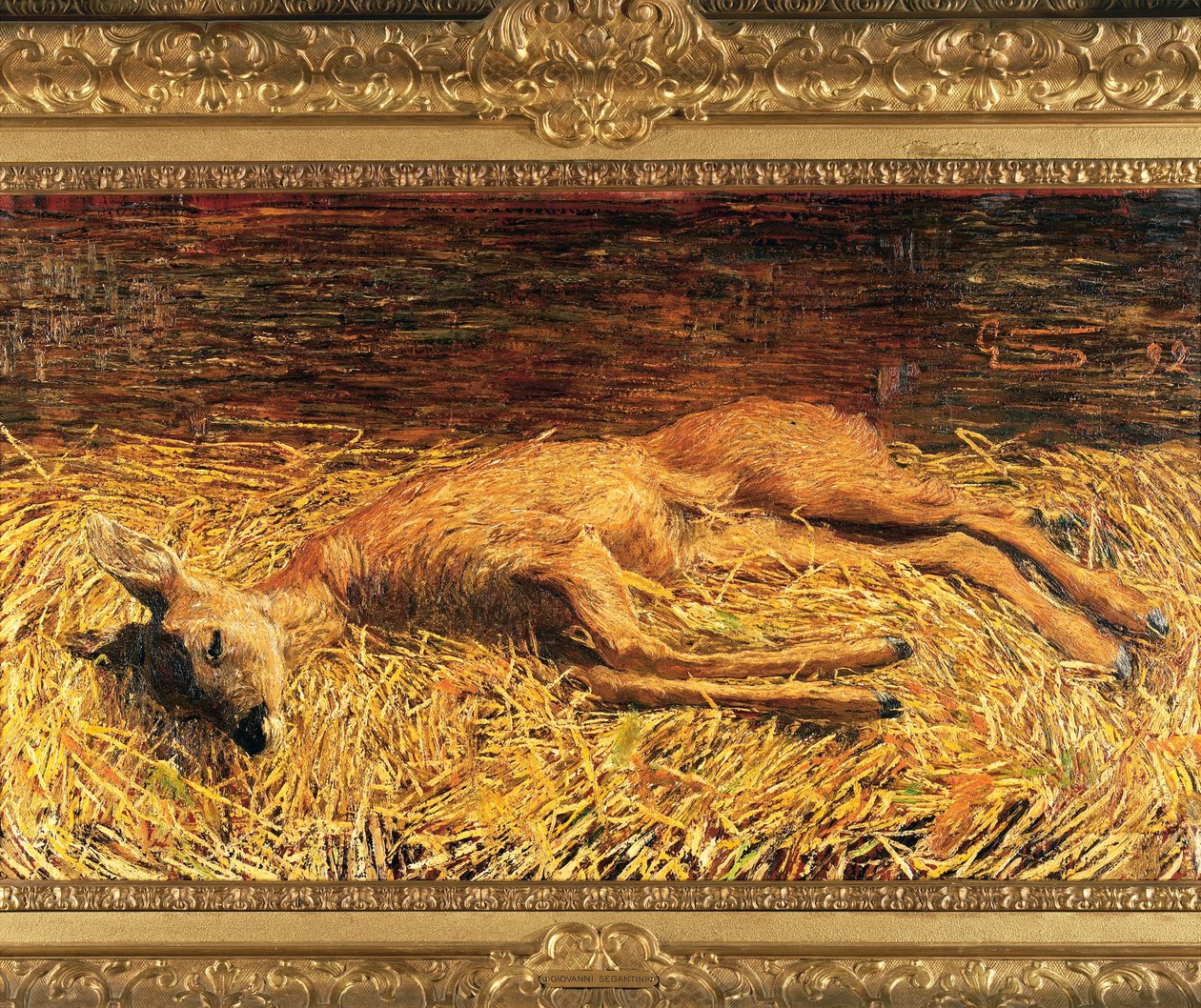 Sveits, Saint Moritz, døde rådyr av Giovanni Segantini