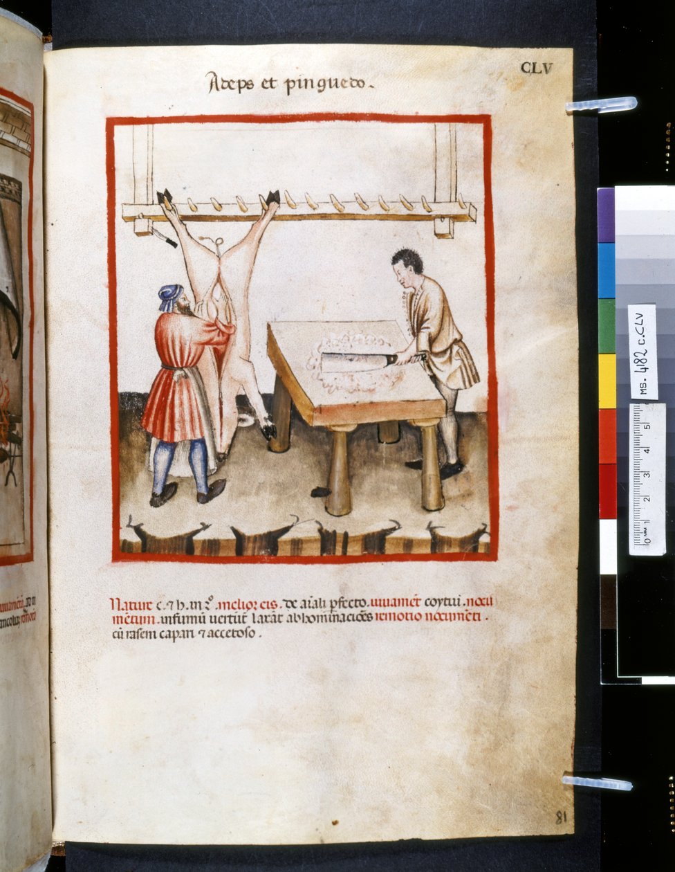  av Giovannino de