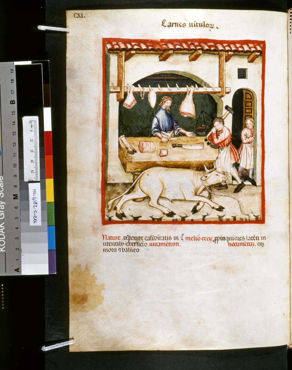  av Giovannino de