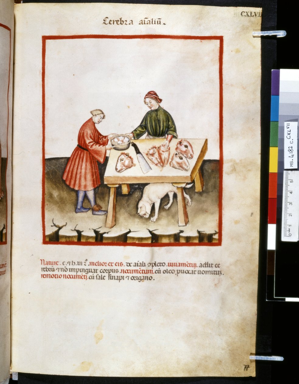  av Giovannino de