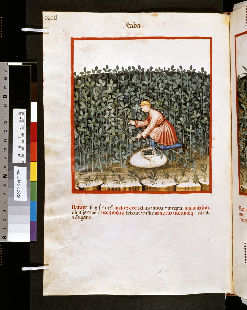  av Giovannino de