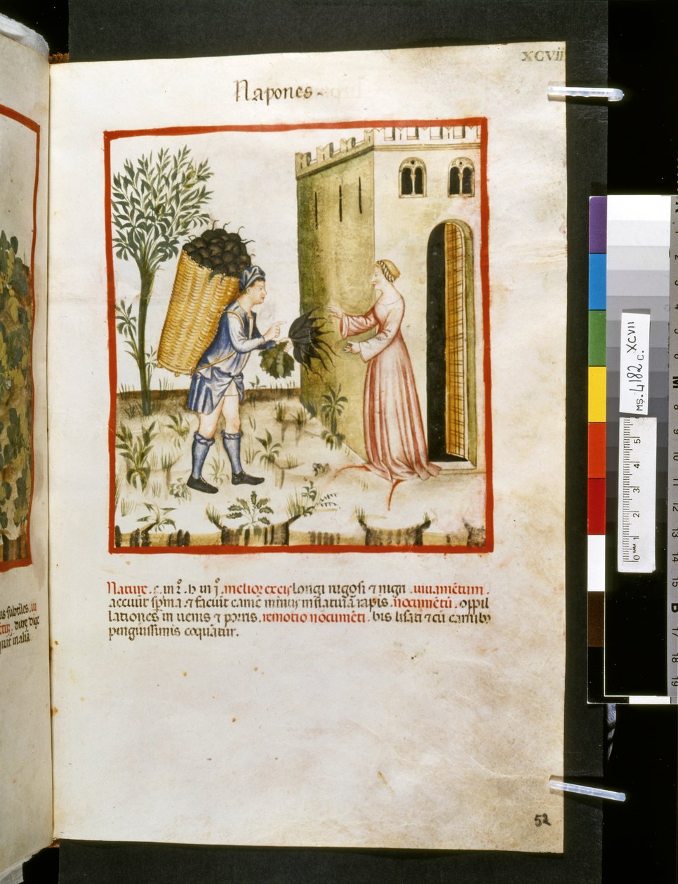  av Giovannino de
