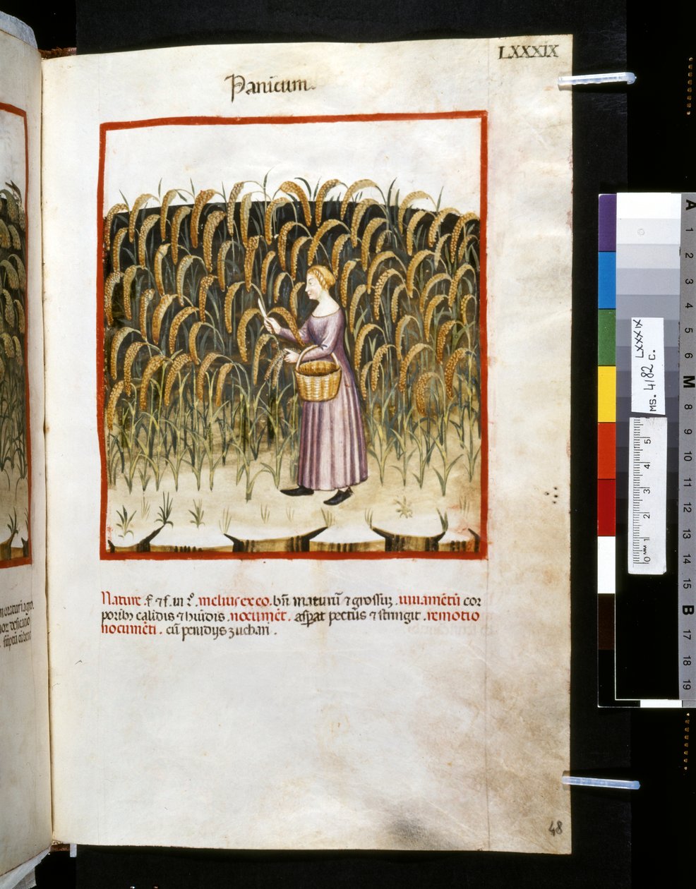  av Giovannino de