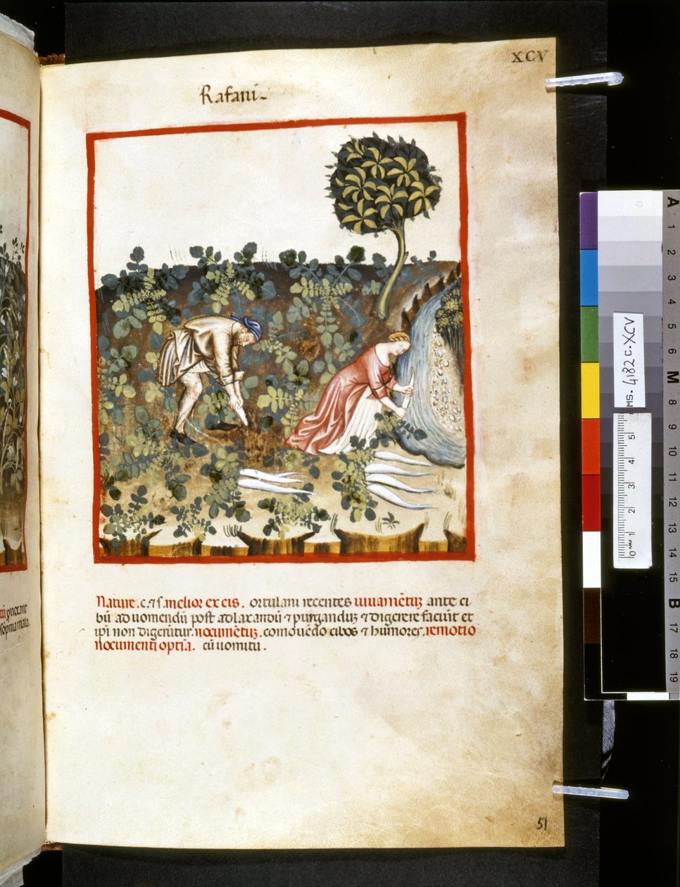  av Giovannino de