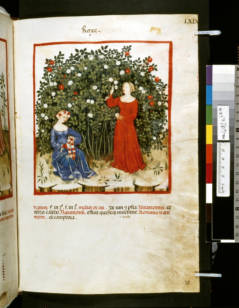  av Giovannino de