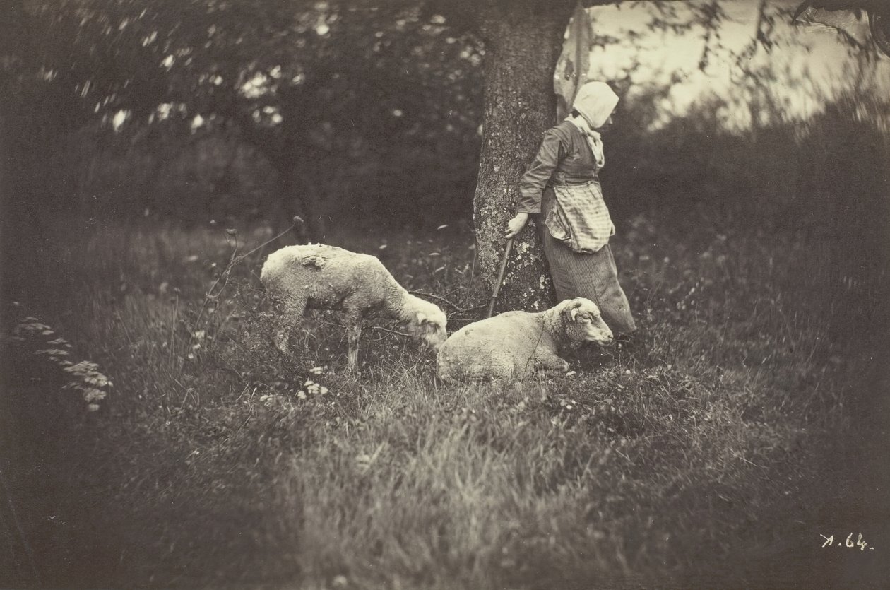 Gjeterinne som lener seg mot et tre, med to sauer, 1870. av Giraudon