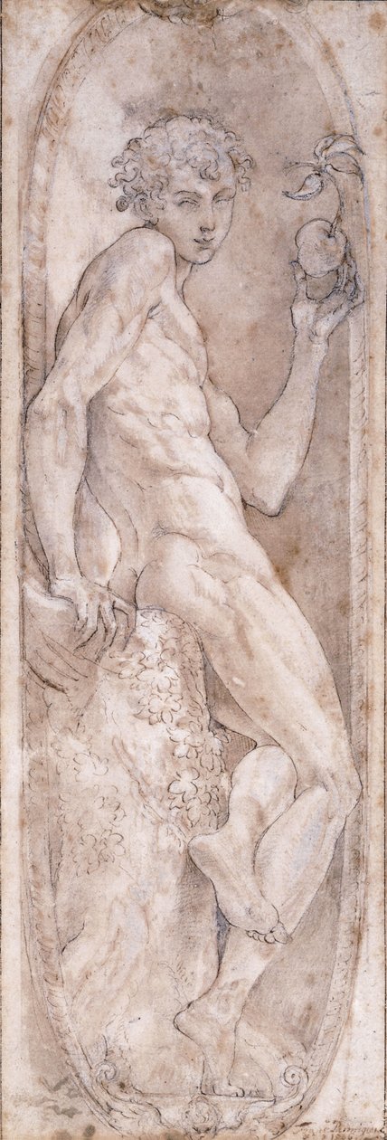 Adam holder et eple, sittende, i en medaljong, ca. 1547-1553 av Girolamo Mazzola Bedoli