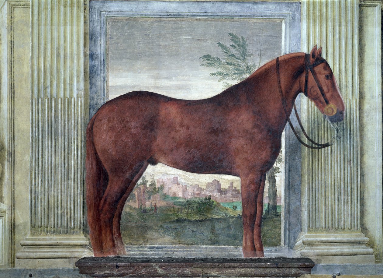 Sala dei Cavalli, detalj som viser et portrett av en kastanjehest fra stallen til Ludovico Gonzaga III av Mantua, kinnet merket med en 