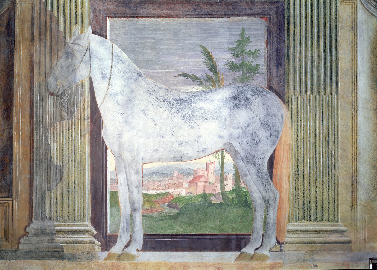 Sala dei Cavalli, detalj som viser et portrett av en grå hest fra stallen til Ludovico Gonzaga III av Mantua, 1528 av Giulio Romano