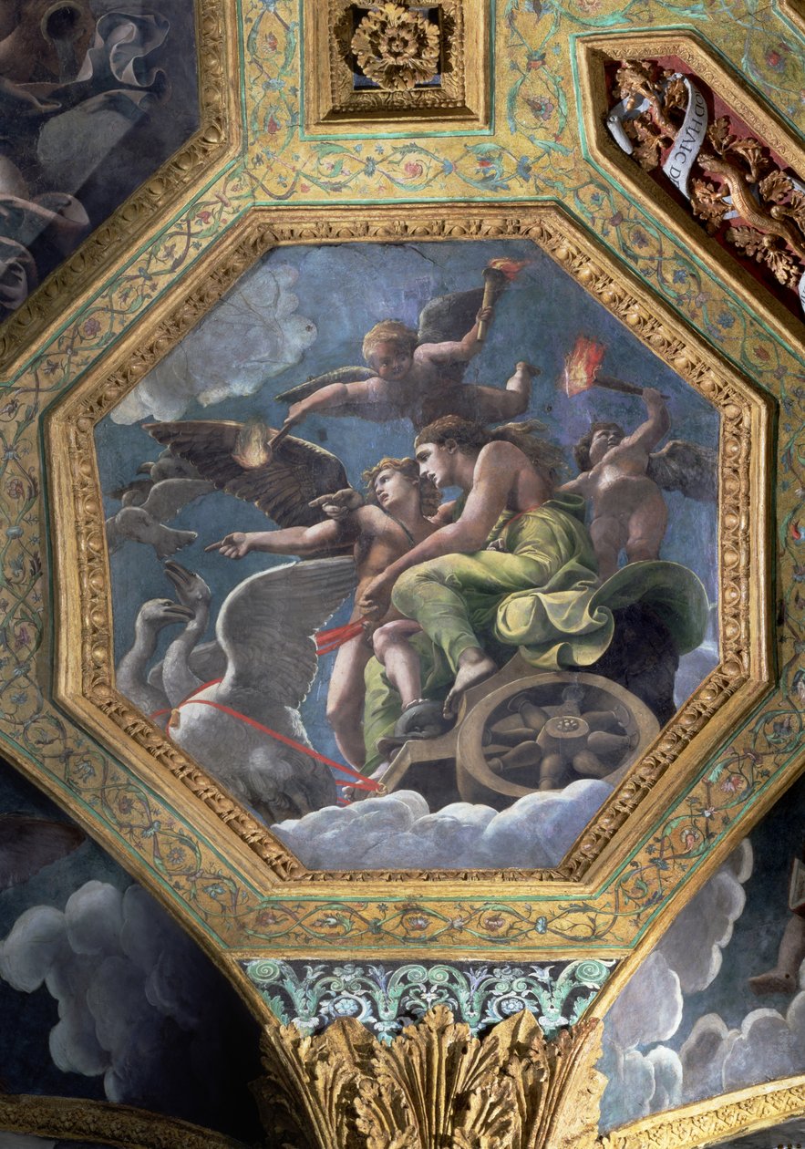 Venus og Amor i en vogn trukket av svaner, takkasse fra Sala di Amore e Psiche, 1528 (olje på stukkatur) av Giulio Romano