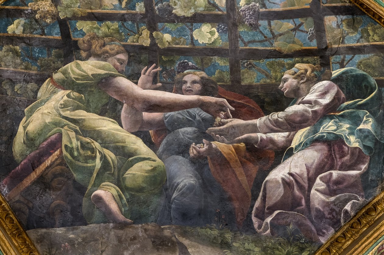Detalj av hvelvet med unge kvinner og druer, Chamber of Cupid and Psyche (Sala di Amore e Psiche) av Giulio (and workshop) Romano