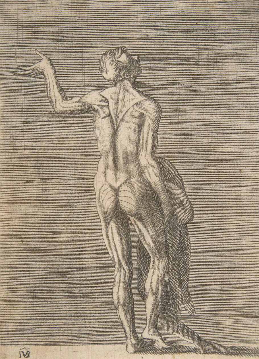 Fløyet mann med venstre hånd på hoften, holder huden i høyre hånd, ca. 1531-76. av Giulio Bonasone