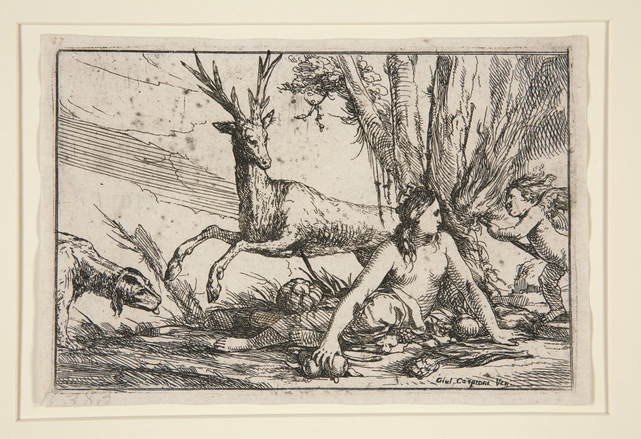 Jorden, fra The Four Elements av Giulio Carpioni