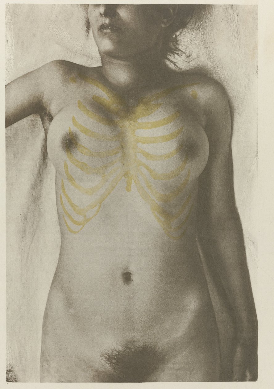 Anatomisk foto av en kvinnelig lijk: 