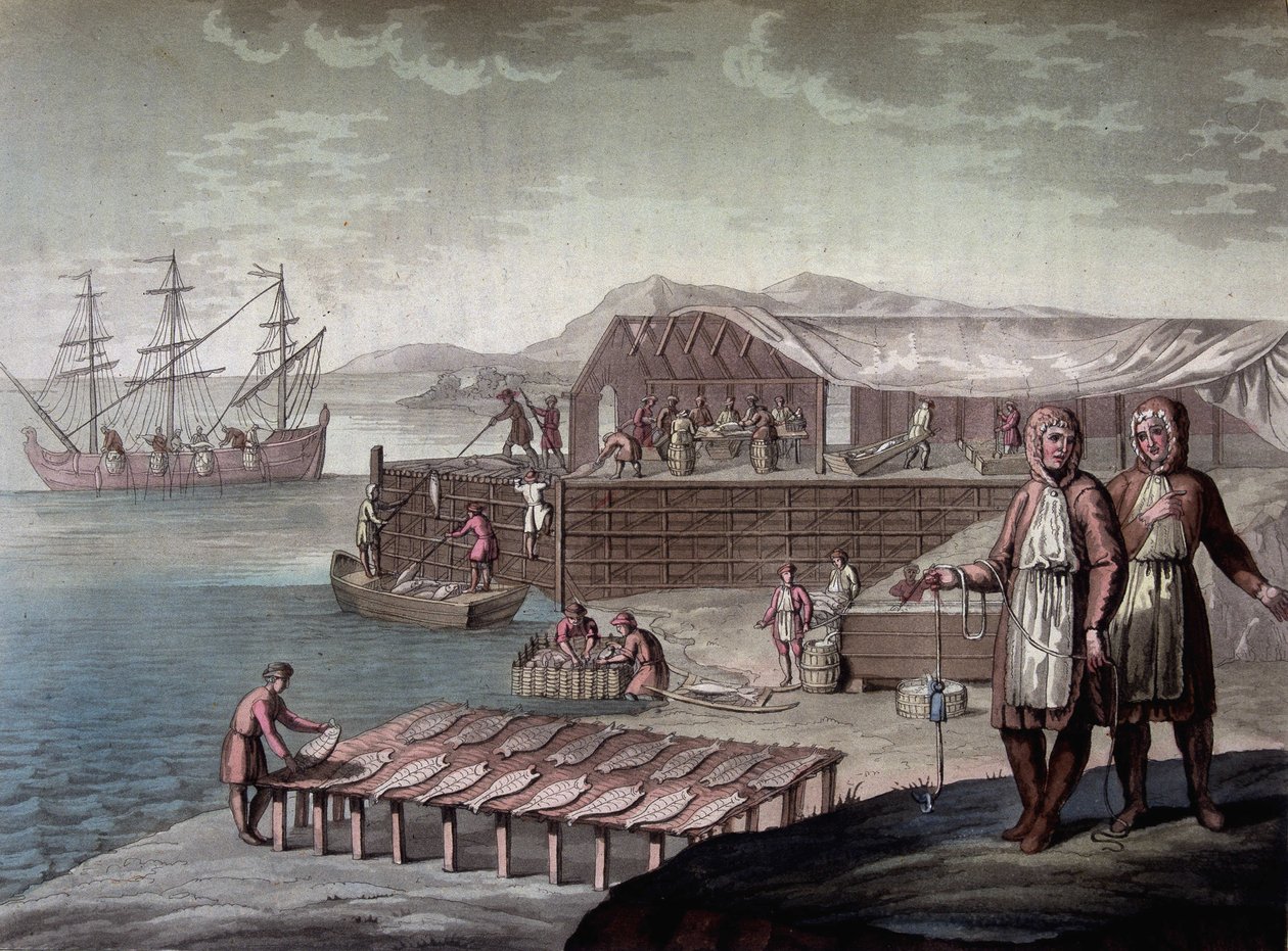 Torskefiske laget av innbyggerne i Newfoundland - i "" Le costume ancien et moderne"" av Ferrario, red. Milan av Giulio Ferrario