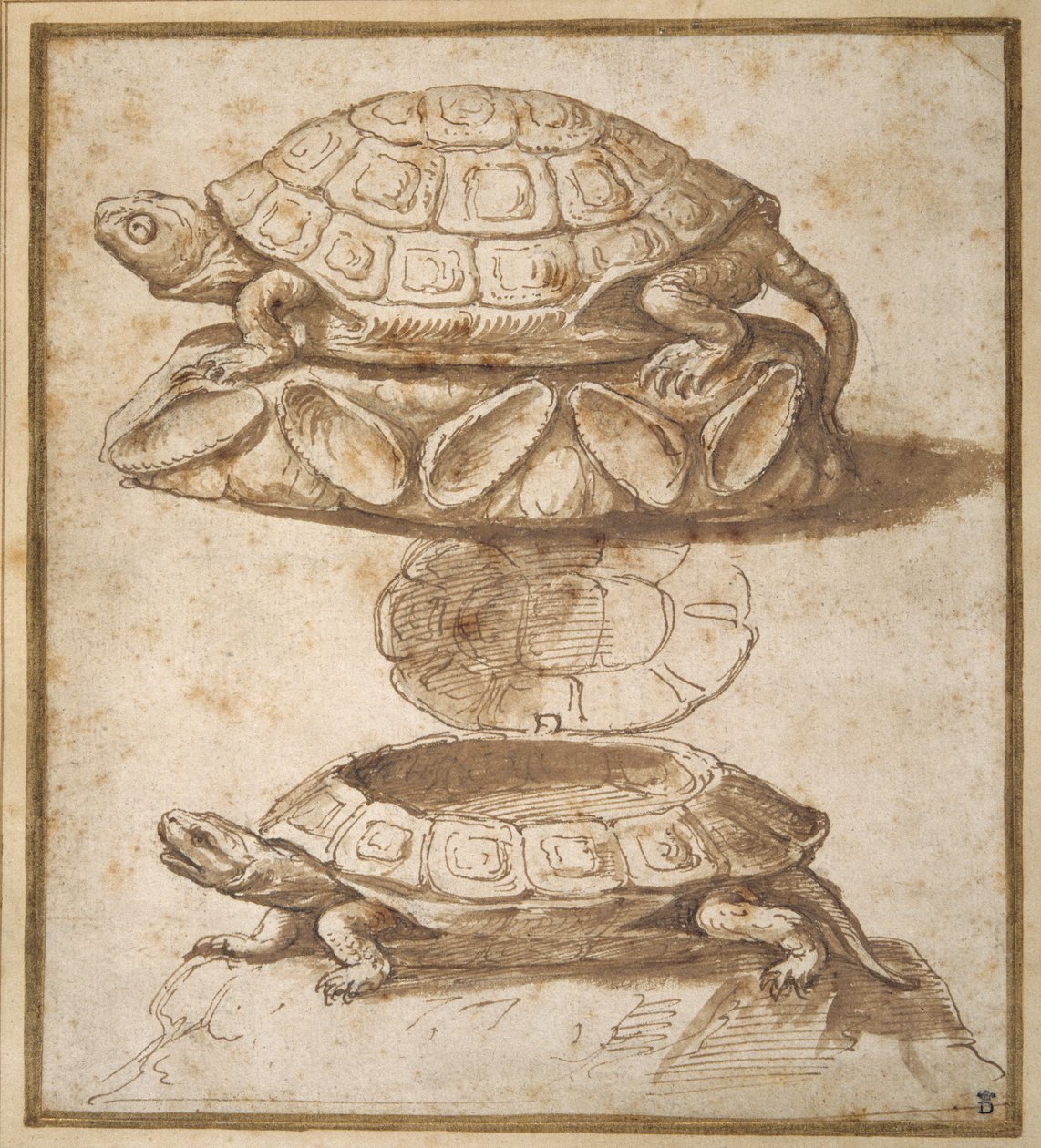 Design for en boks med lokk i form av en skilpadde, vist åpen og lukket (penn og brunt blekk med brun vask på papir) av Giulio Romano