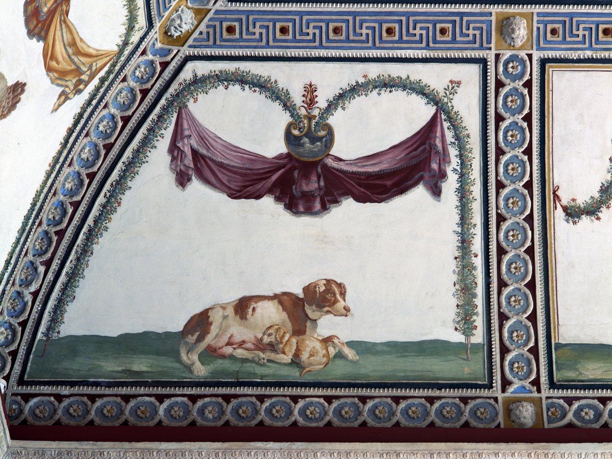 Camera con Fregio di Amorini Chamber of the Cupid Frieze detalj av en hund og en valp, freske fra 1520-tallet av Giulio Romano