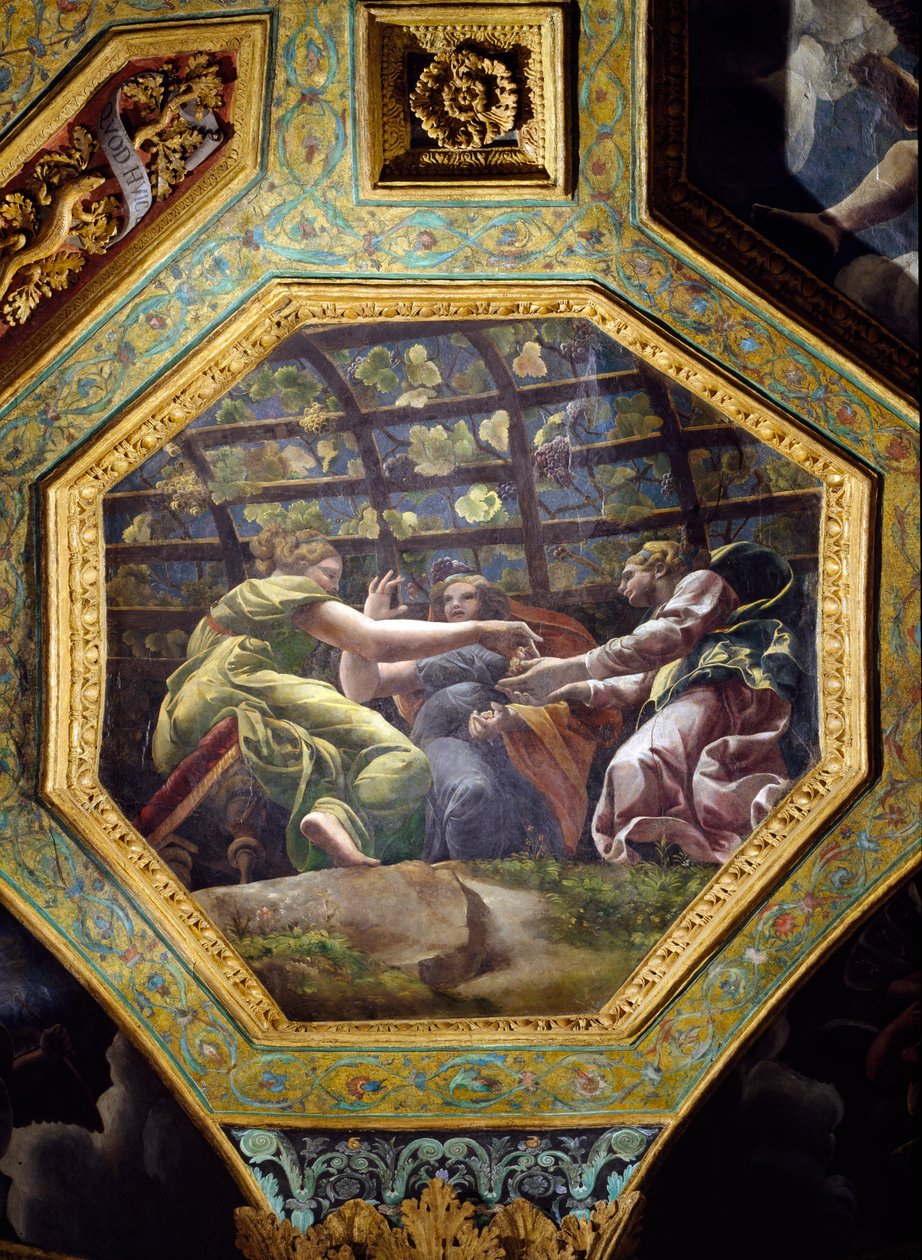 Kvinner som samler druer, takkasse fra Hall of Cupid and Psyche, 1528 (olje på stukkatur) av Giulio Romano