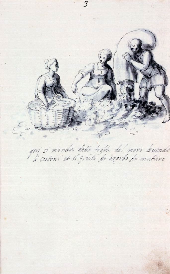 Avhandling om silkekultur og produksjon av Giuseppe Arcimboldo