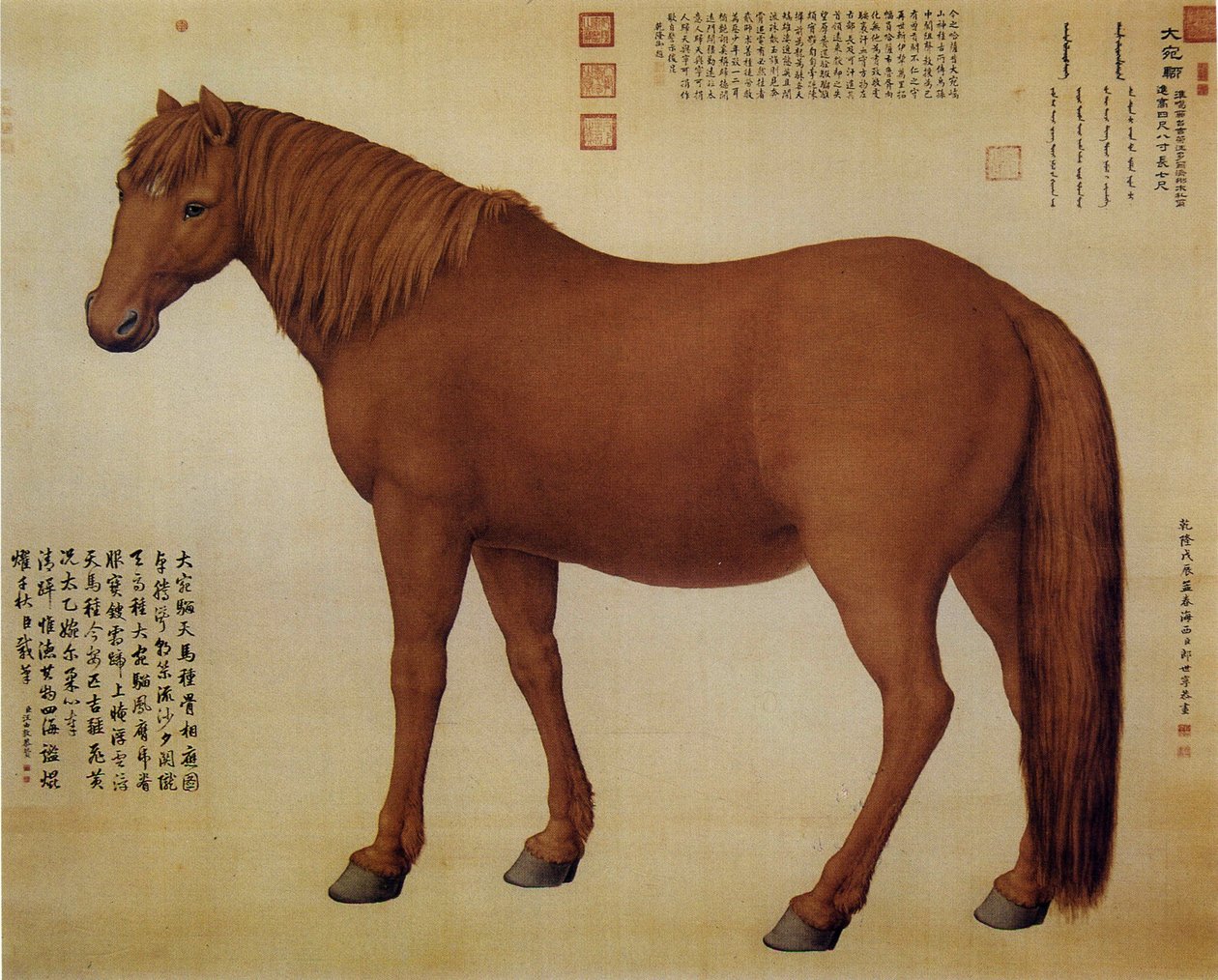 en hest som heter Dawanliu av Giuseppe Castiglione