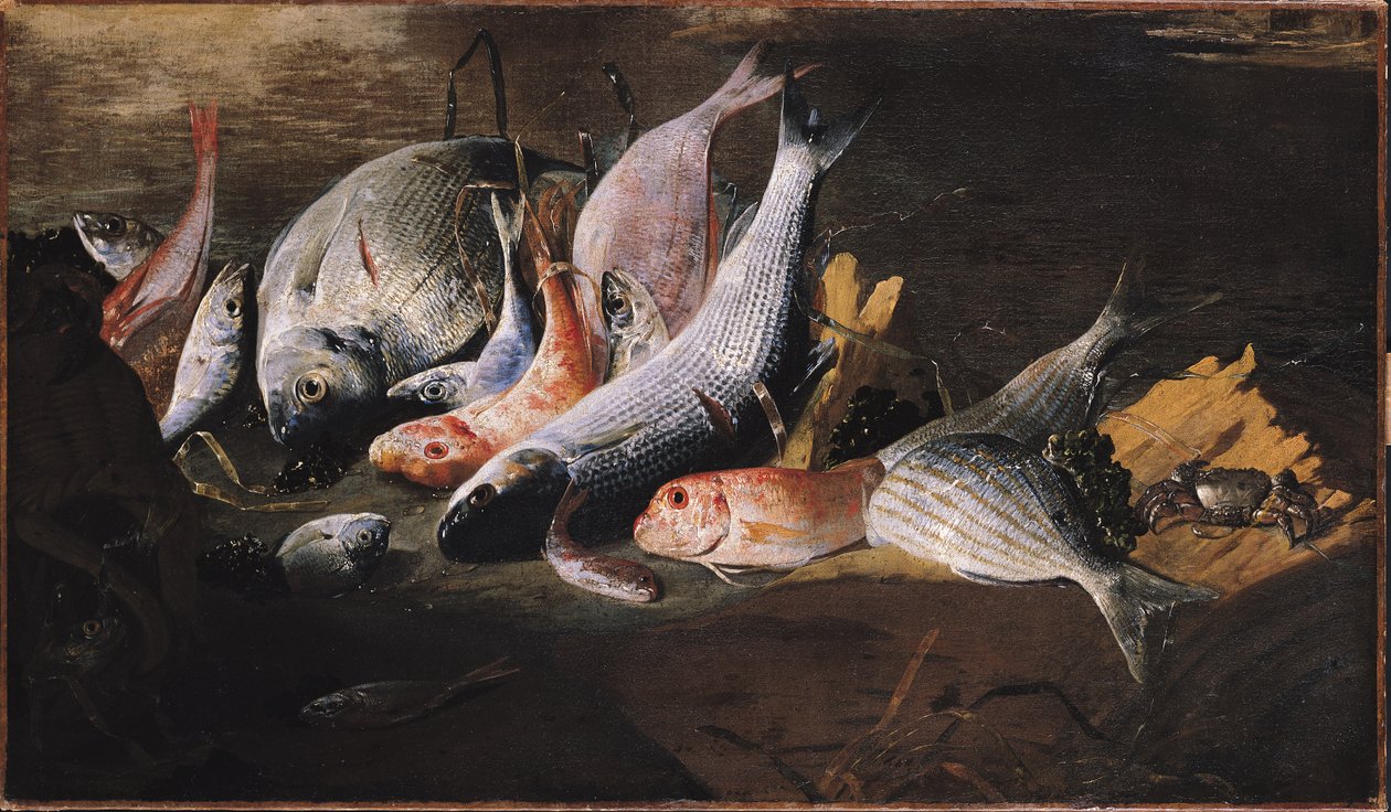 Fisk og krabbe av Giuseppe Recco